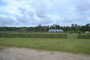 Pasture Board- you provide feed