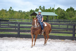Package of 4- 1 Hour Lessons