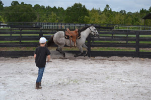 Single 1 Hour Lesson