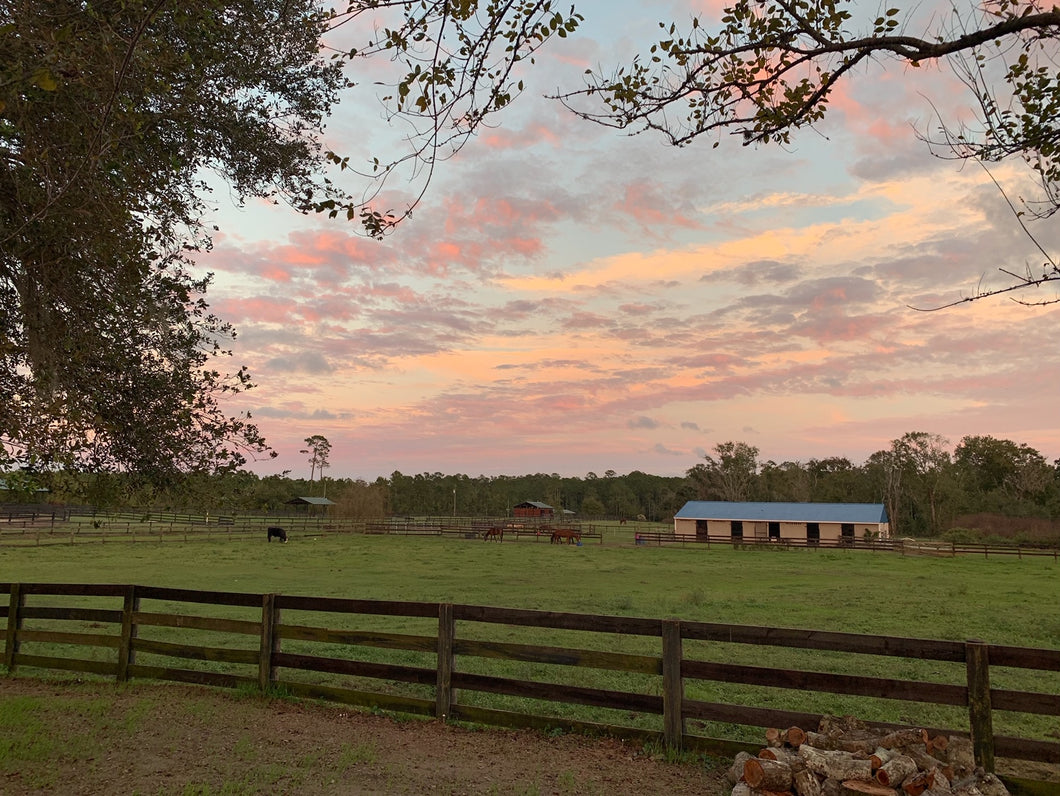 Pasture Board- feed provided